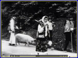 Провадження гуцульської свині з косівського базару в напрямку Города (Кадр з хроніки, 1939 рік)